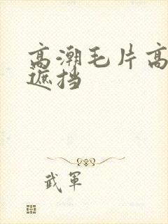 高潮毛片高清无遮挡封面