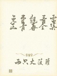 免费观看电视剧正青春全集在线播放