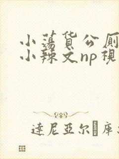 小荡货公厕h文小辣文np视频