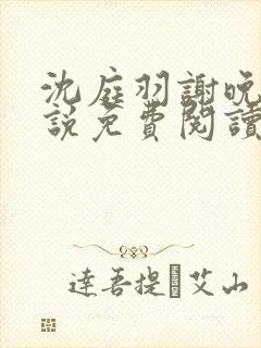 沈庭羽谢晚晚小说免费阅读