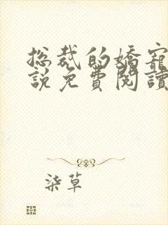 总裁的娇宠妻小说免费阅读