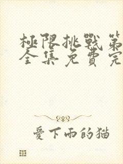 极限挑战第5季全集免费完整版封面