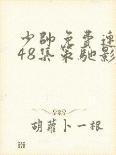 少帅免费连续剧48集策驰影视