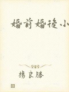 婚前婚后小说封面