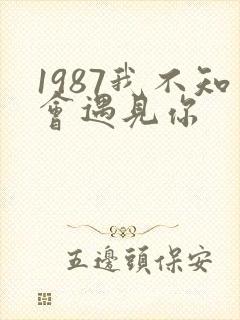 1987我不知会遇见你