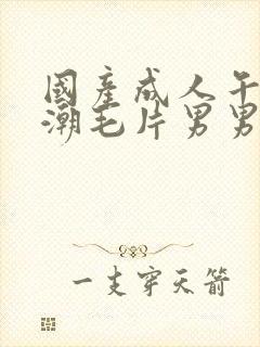 国产成人午夜高潮毛片男男爱