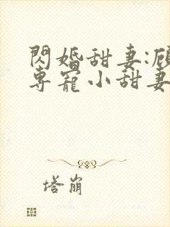 闪婚甜妻:顾少专宠小甜妻 纳兰静语