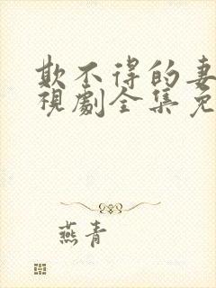 欺不得的妻子电视剧全集免费观看封面