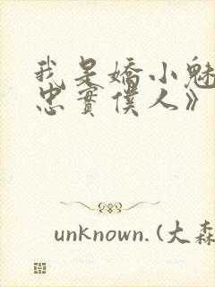 我是娇小魅魔的忠实仆人》封面