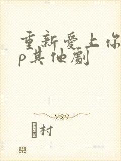 重新爱上你副cp其他剧