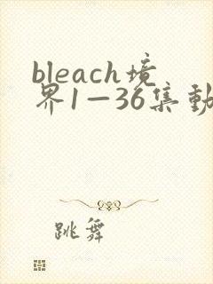 bleach境界1—36集动漫免费观看36集