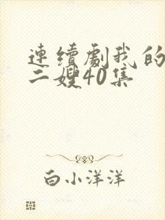 连续剧我的二哥二嫂40集