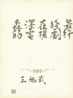 森泽在线最好看的电视剧纤纤影视