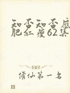 知否知否应是绿肥红瘦62集封面