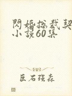 闪婚总裁契约妻小说60集