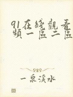 91在线观看视频一区二区
