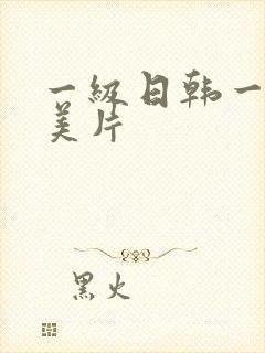 一级日韩一级欧美片封面