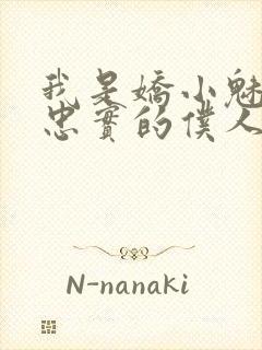 我是娇小魅族的忠实的仆人封面