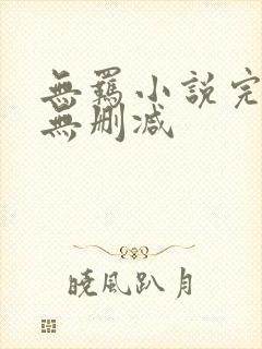 无羁小说完整版无删减