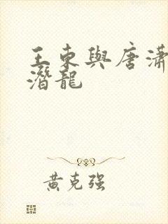 王东与唐潇傲世潜龙封面