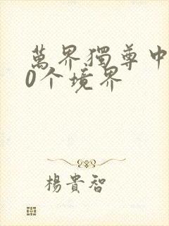 万界独尊中的10个境界