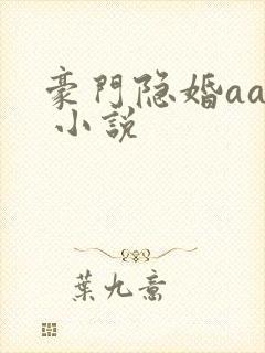 豪门隐婚aa制 小说封面
