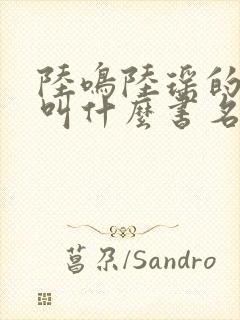 陆鸣陆瑶的小说叫什么书名