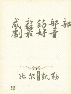 成毅的哪部电视剧最好看封面