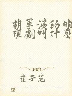 胡军演的明朝电视剧叫什么