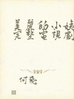 美丽的小姨免费完整电视剧在线观看