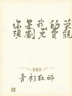 你是我的荣耀电视剧免费观看高清封面