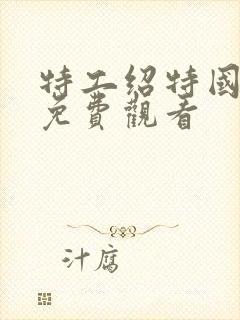 特工绍特国语版免费观看