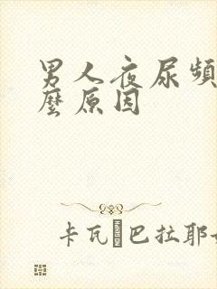 男人夜尿频多什么原因