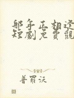 那年正相逢沈芸短剧免费观看