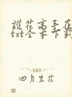护花高手在都市txt全本下载