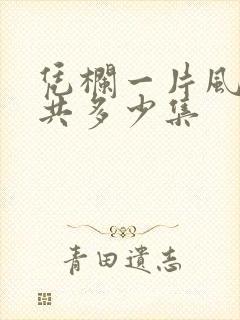 凭栏一片风云起共多少集