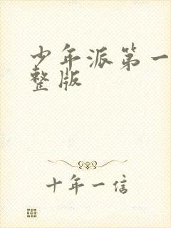 少年派第一季完整版