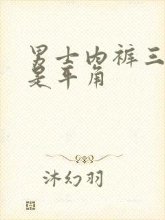 男士内裤三角还是平角