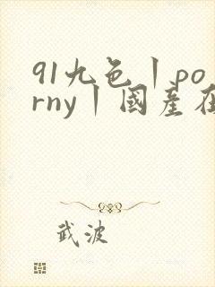 91九色丨porny丨国产在线