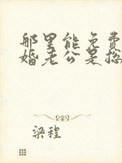 那里能免费看闪婚老公是总裁短剧封面