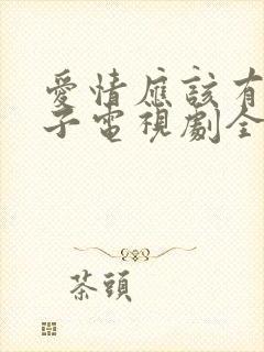 爱情应该有的样子电视剧全集免费封面