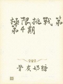 极限挑战第2季第4期封面