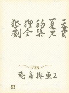 狐狸的夏天电视剧全集免费观看封面