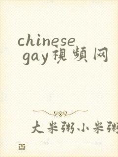 chinese gay视频网