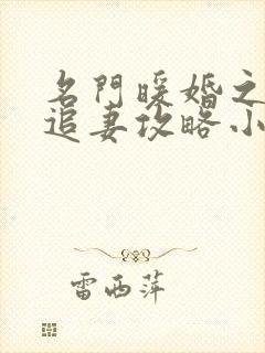 名门暖婚之权爷追妻攻略小说最新