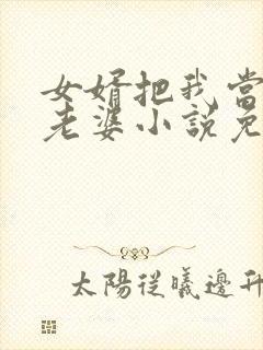 女婿把我当成他老婆小说免费阅读封面