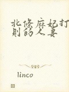 北条麻妃打破规则的人妻封面