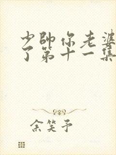 少帅你老婆又跑了第十一集