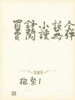 罗铮小说全文免费阅读无弹窗