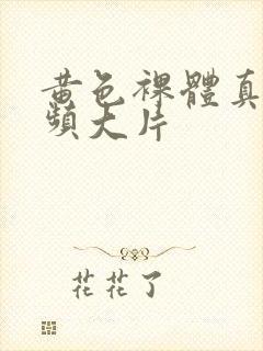 黄色裸体真人视频大片封面